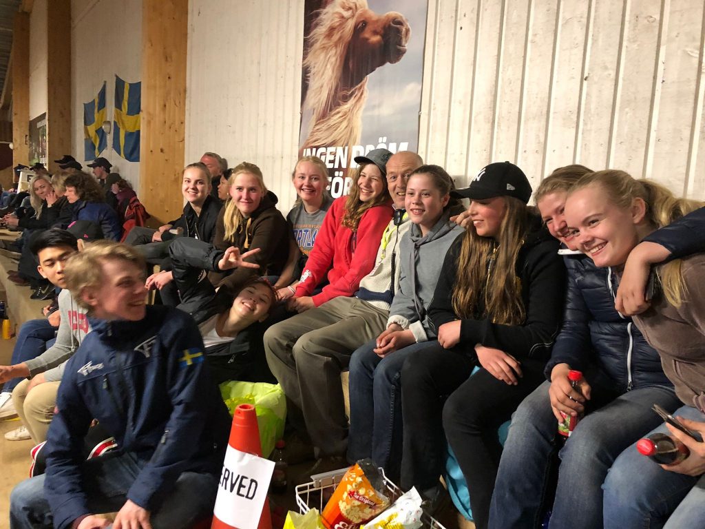 Svensk reining